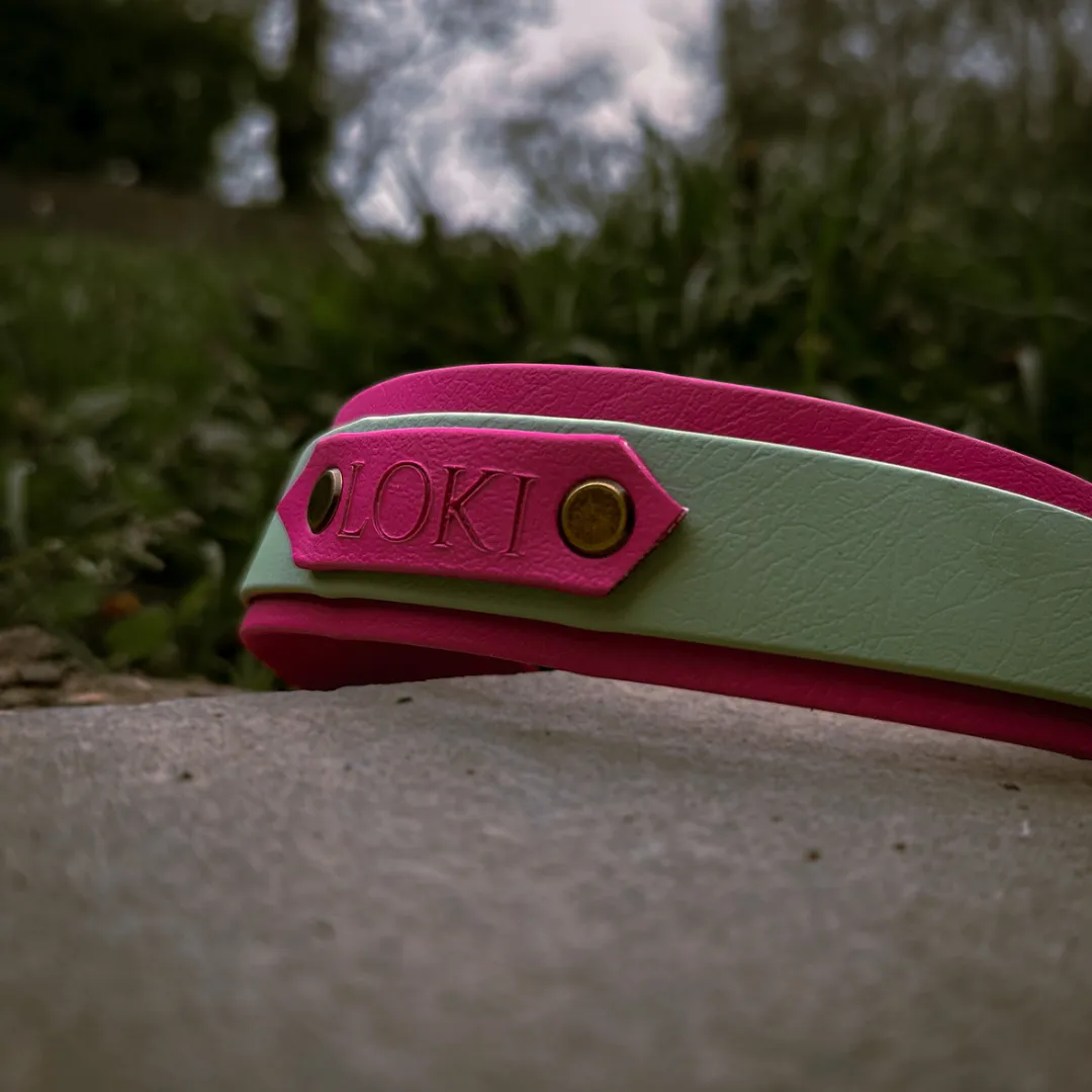 Strip Design Dog Collar with Name